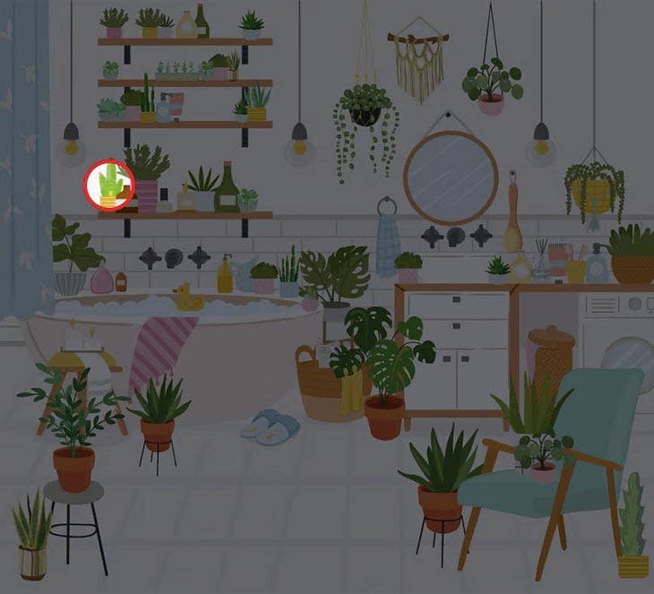 Réponse du défi visuel – source : spm