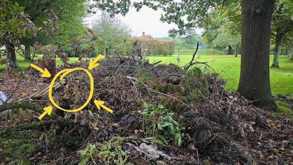 Solution du d&eacute;fi montrant l'emplacement du chien cach&eacute;