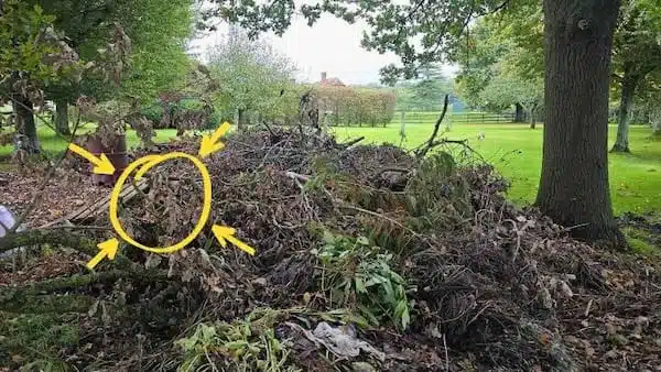 Solution du défi montrant l'emplacement du chien caché