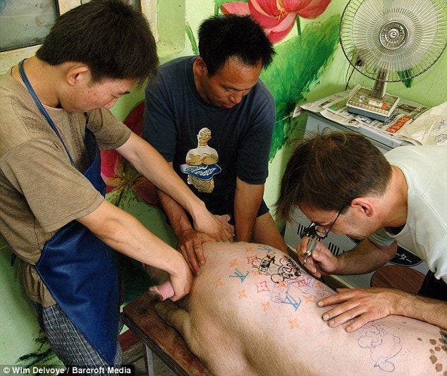 Mobilisons-nous contre les tatouages sur les animaux de compagnies