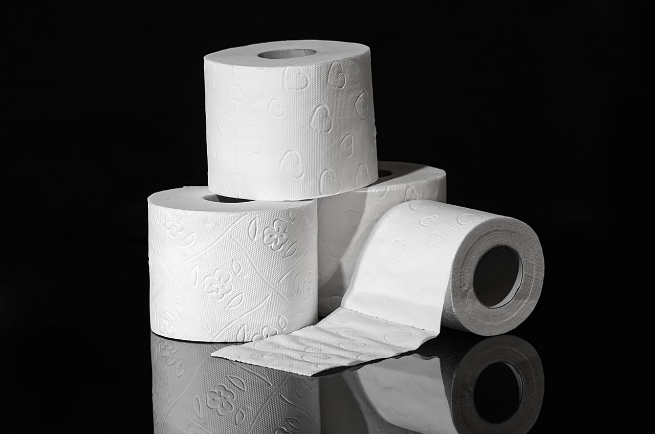 Rouleaux de papier toilette