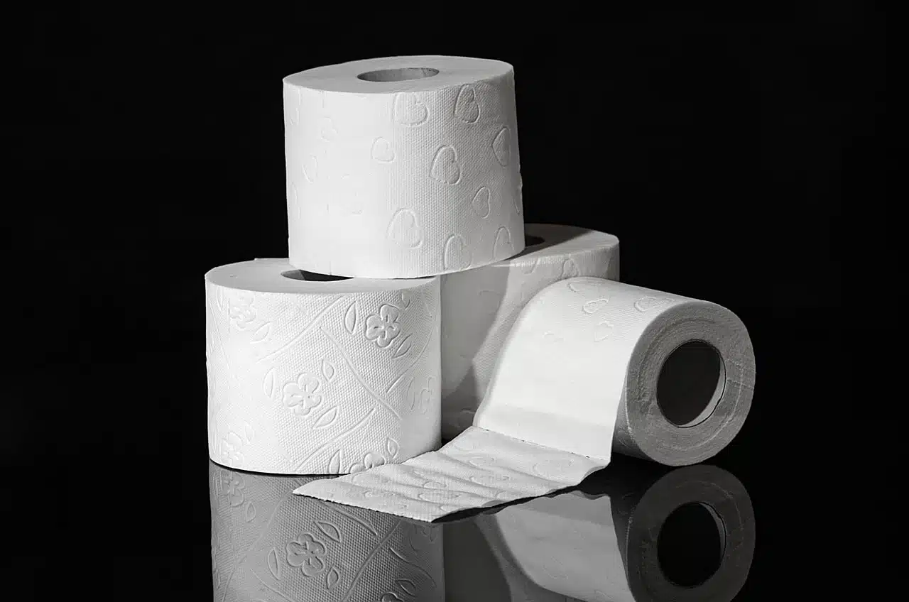 Rouleaux de papier toilette