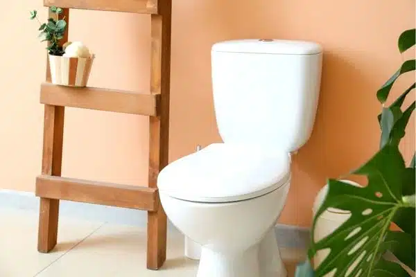 Toilettes propres et brillantes