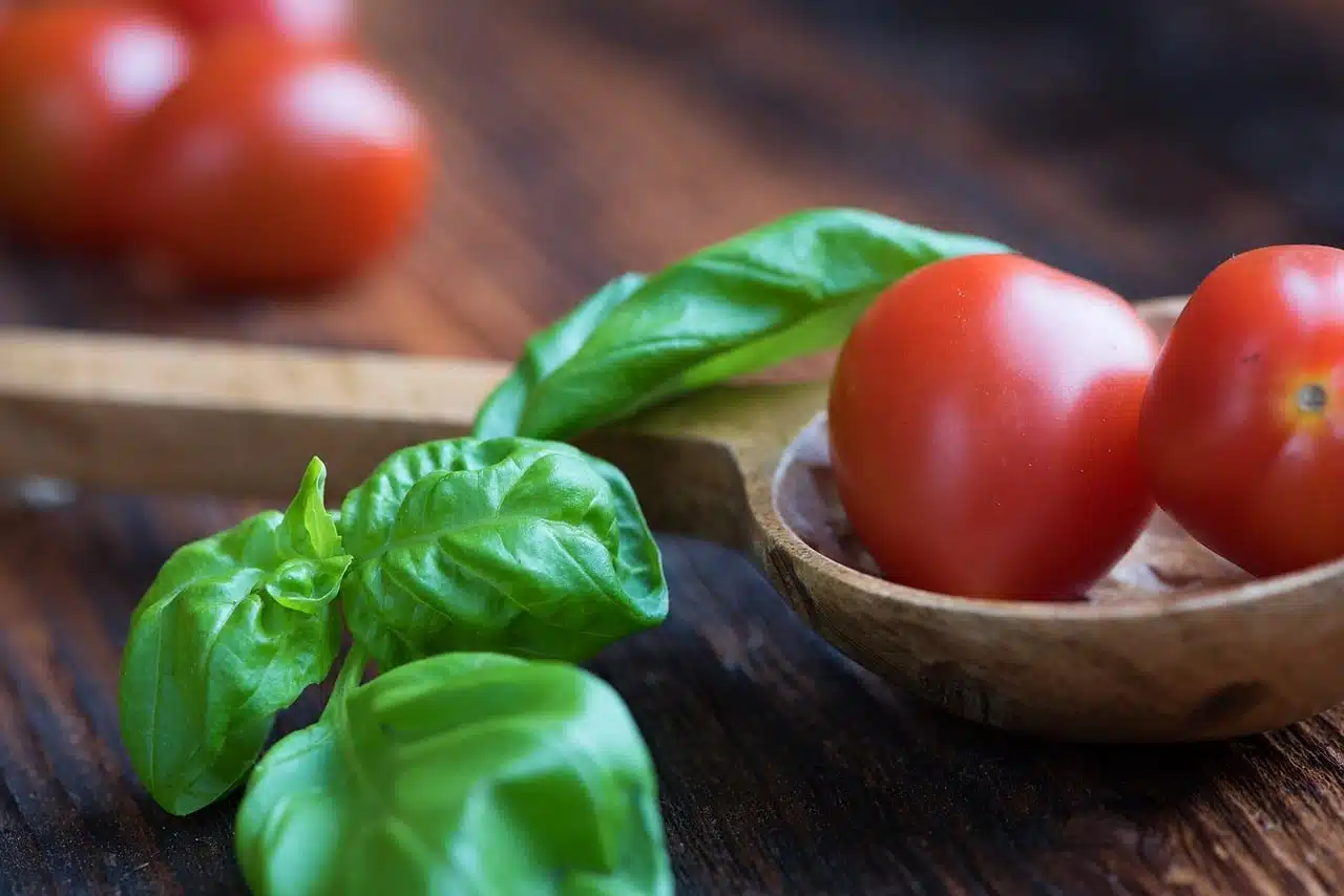 Tomates et basilic frais