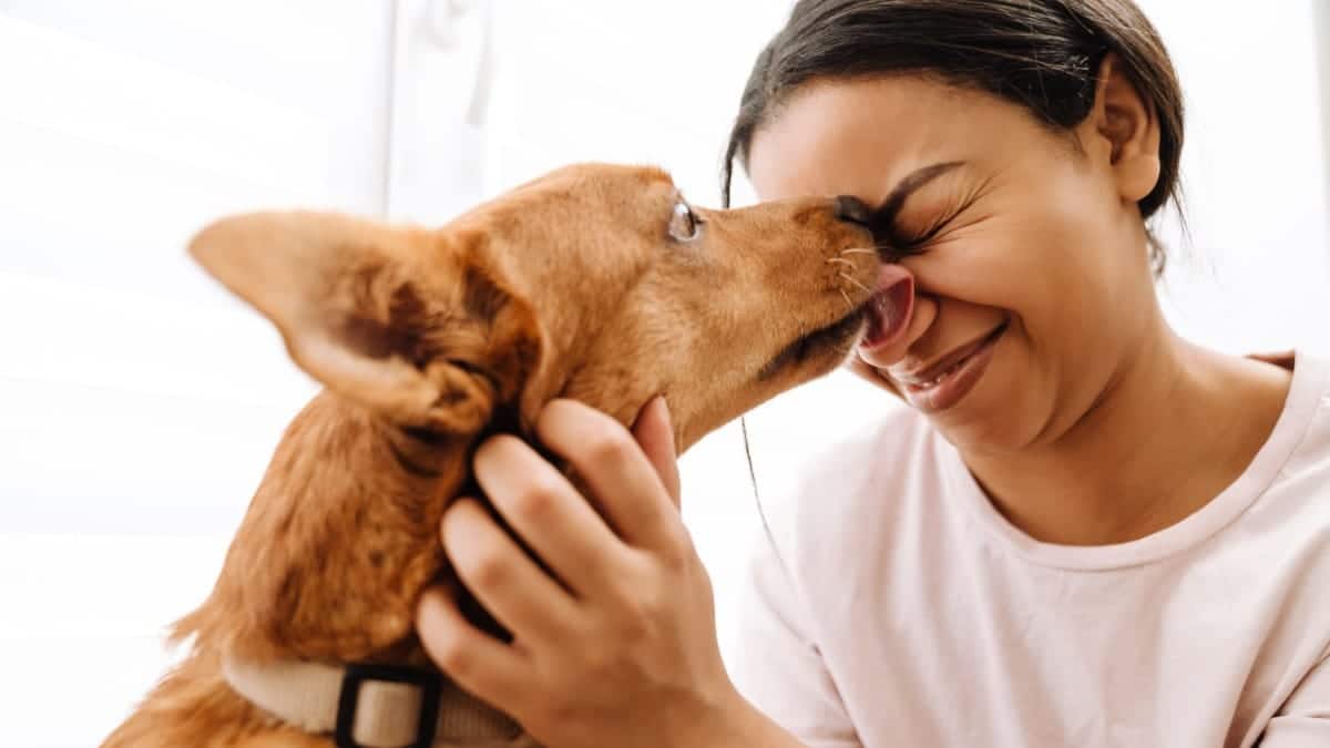 Une femme sourit tandis que son chien, un berger australien, lui l&egrave;che affectueusement la joue.