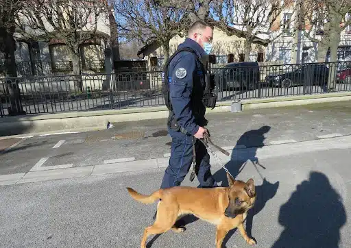 Julien et Nox, duo policier inséparable