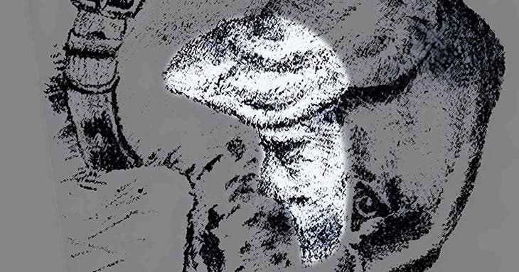 Solution de l’énigme visuelle – source : spm